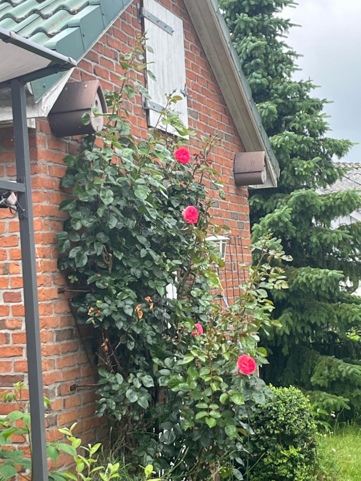 Gartenzimmer Zwischen Den Meeren Ladelund Kültér fotó